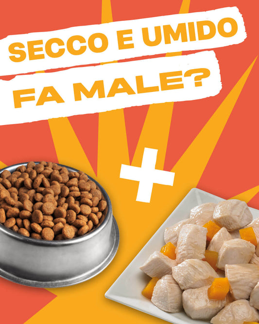 FAKE NEWS: non devo mischiare secco e umido… ma è vero?