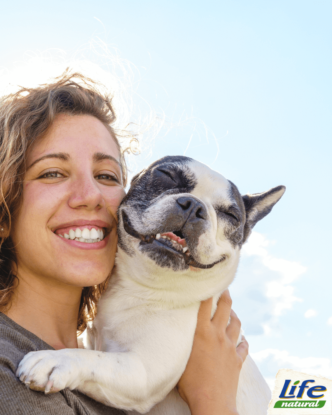 5 consigli per educare il cane