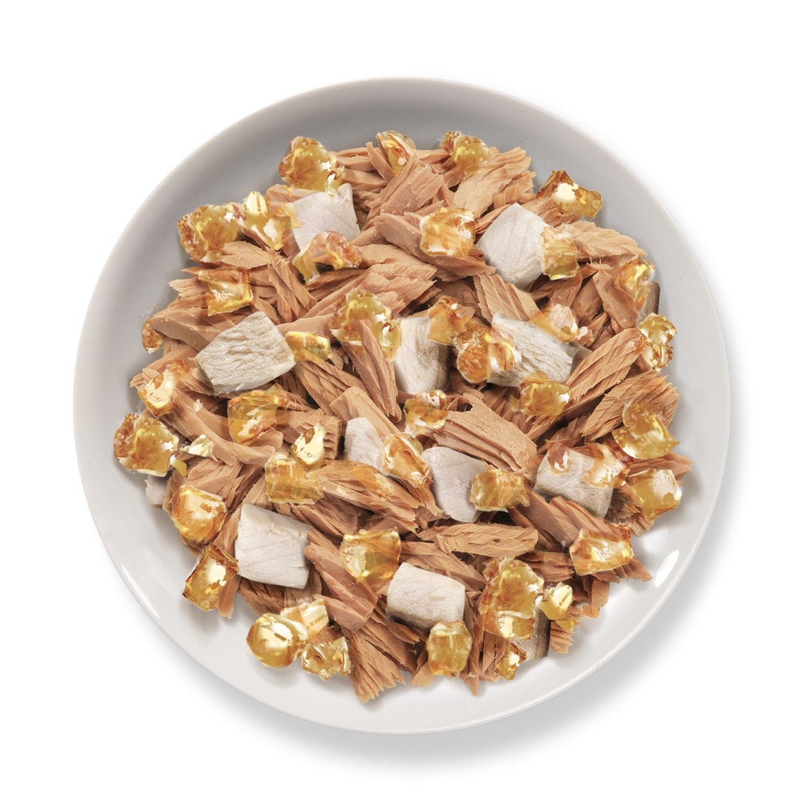 Jelly 70 gr - Tonnetto con Pesce Azzurro – piatto