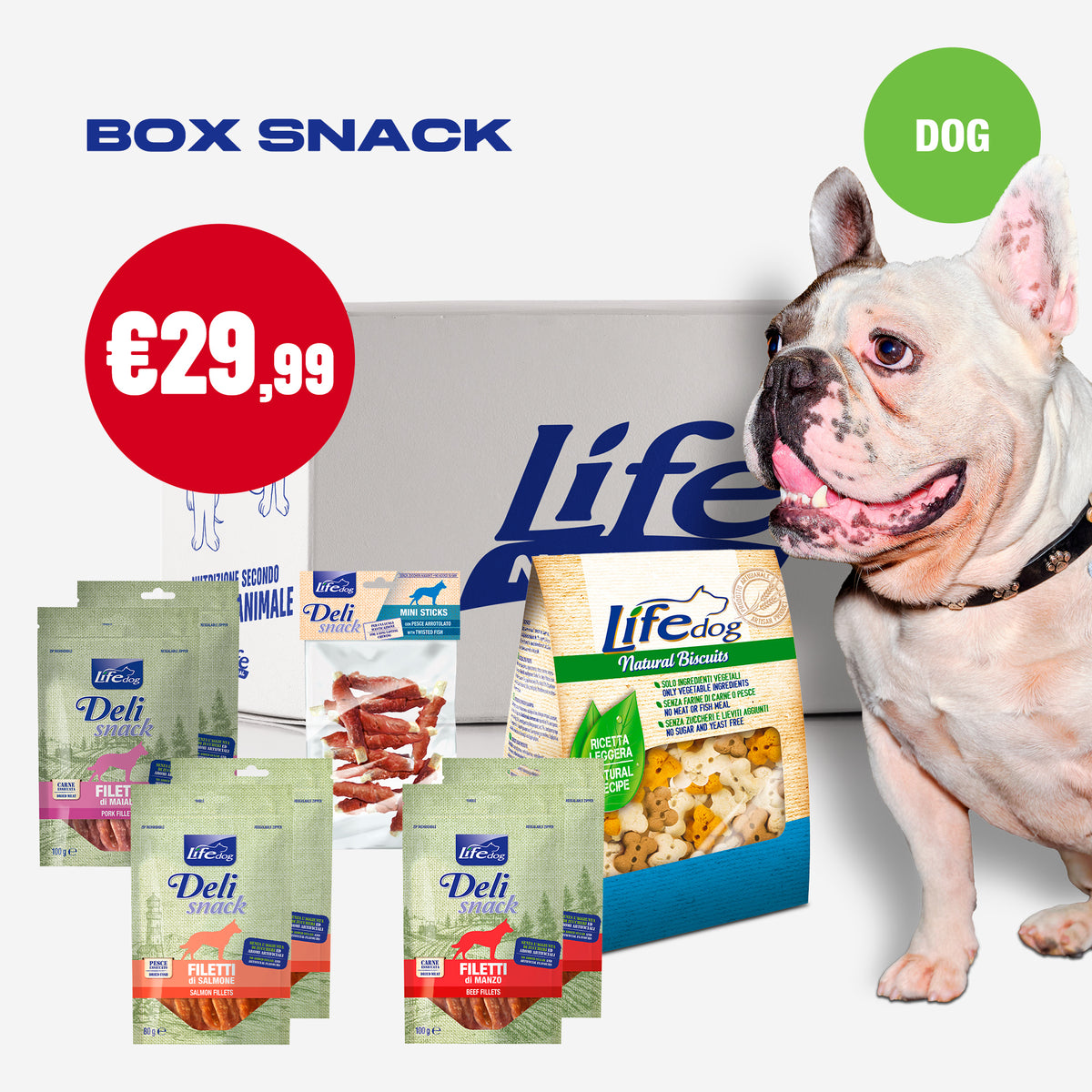 BOX SNACK - CANE