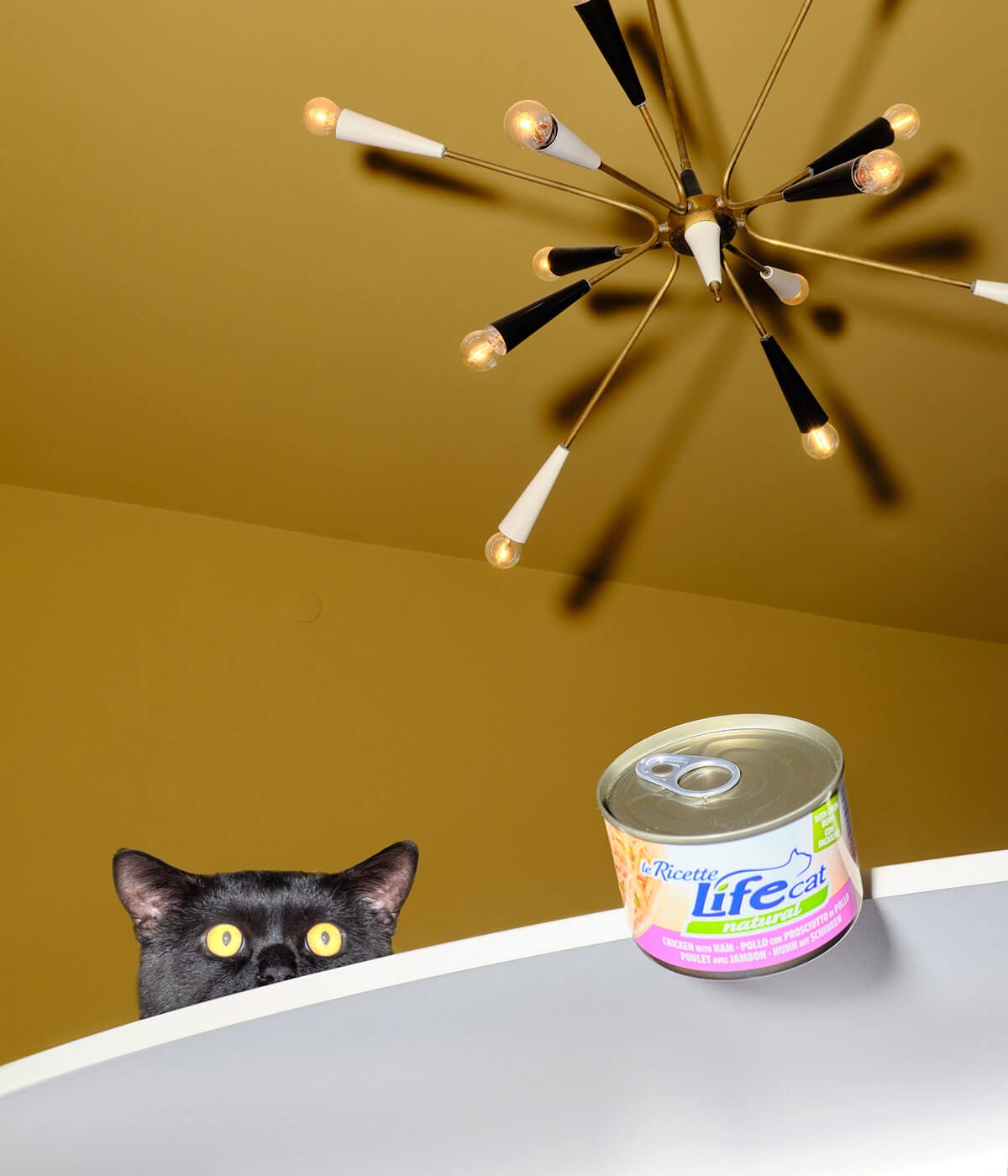 Cat with can