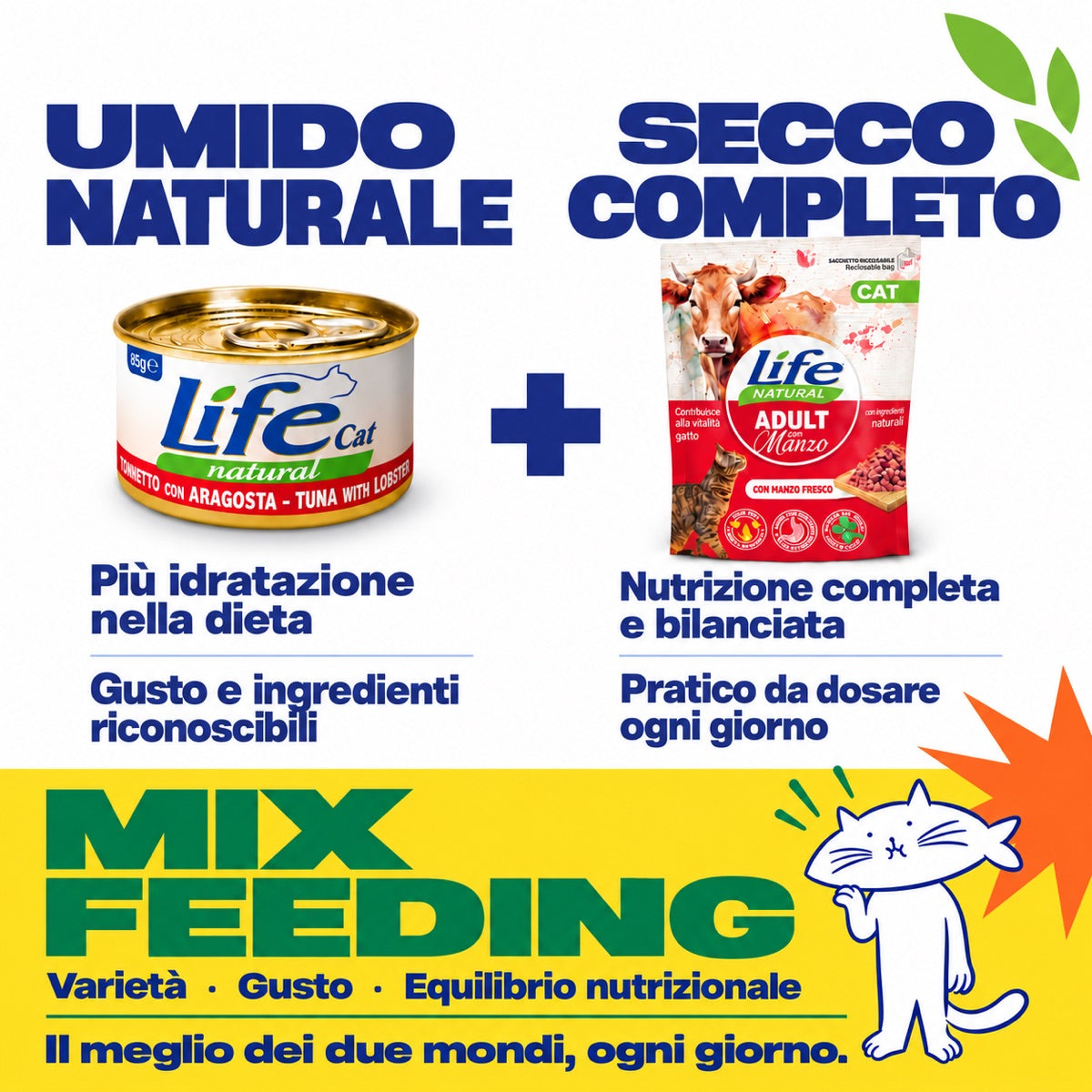 Mix feeding: lattina 85 g e secco Adult con Manzo