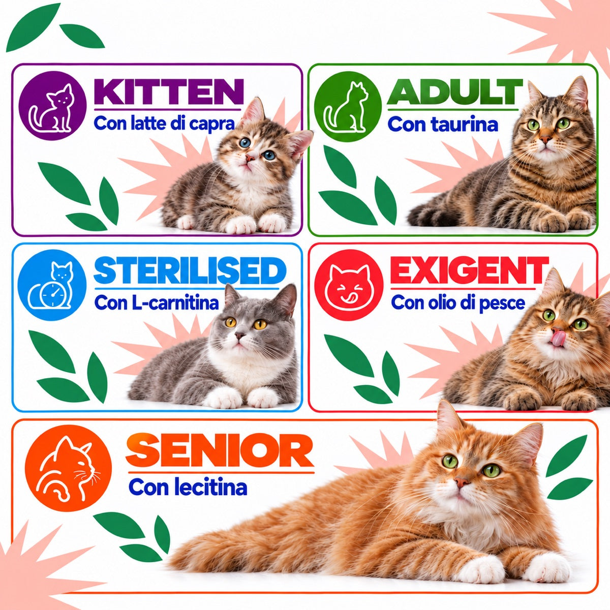 Le formule Vellutate per ogni fase di vita: Kitten, Adult, Senior, Sterilised ed Exigent